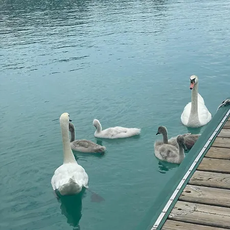 Best In Hosting Beach House Velden 3*