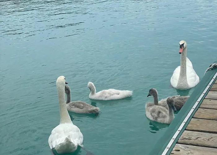 Best In Hosting Beach House Velden 3*